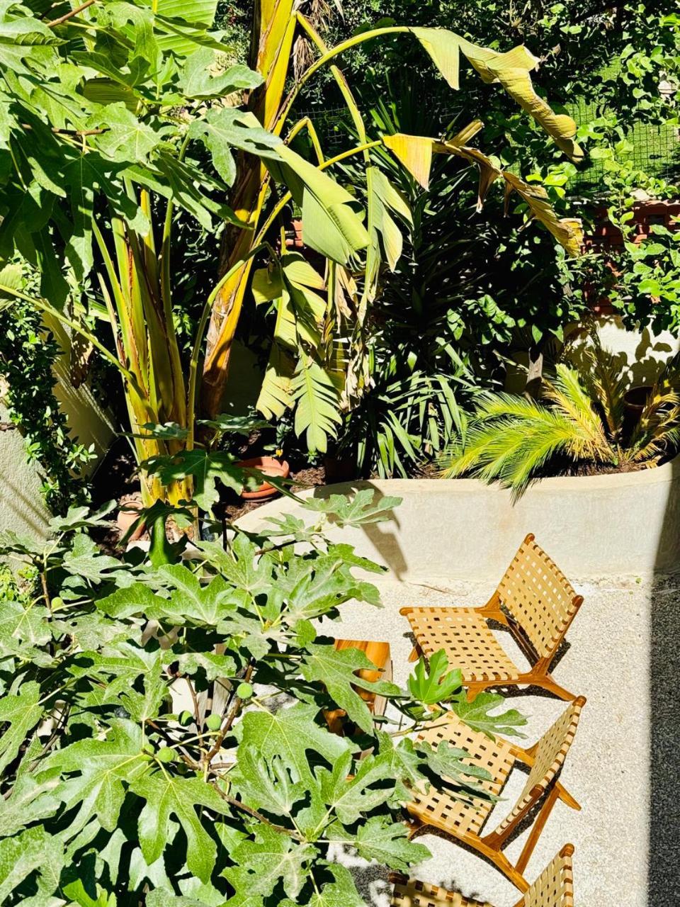 Maison Lyo Suite Luxe Cannes Ngoại thất bức ảnh